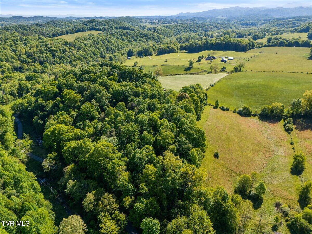 21570 Alvarado Road Abingdon, VA 24211 - Photo 10 of 48 10