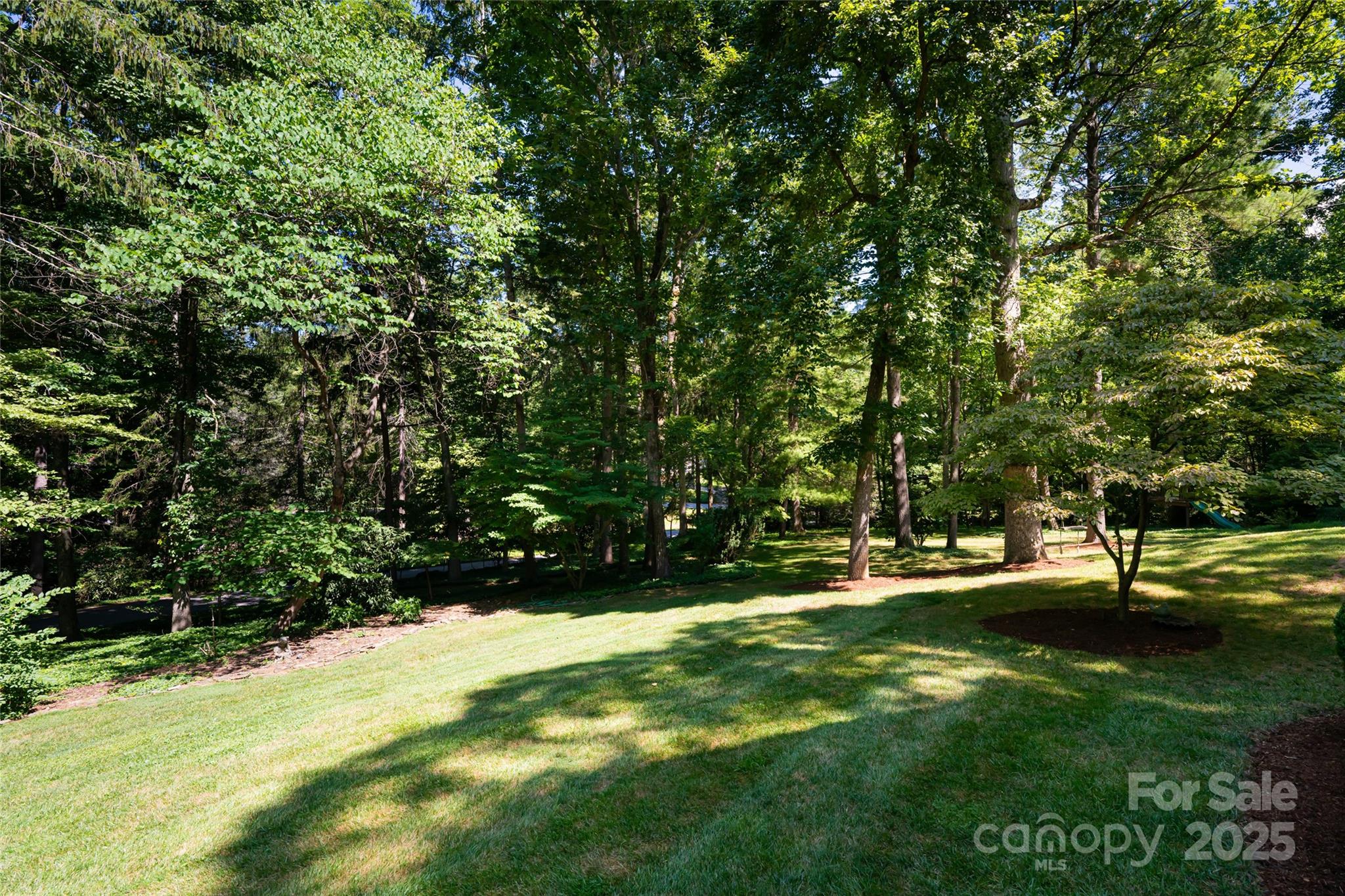 384 Vanderbilt Road Asheville, NC 28803 - Photo 6 of 44 Gallery Image 6