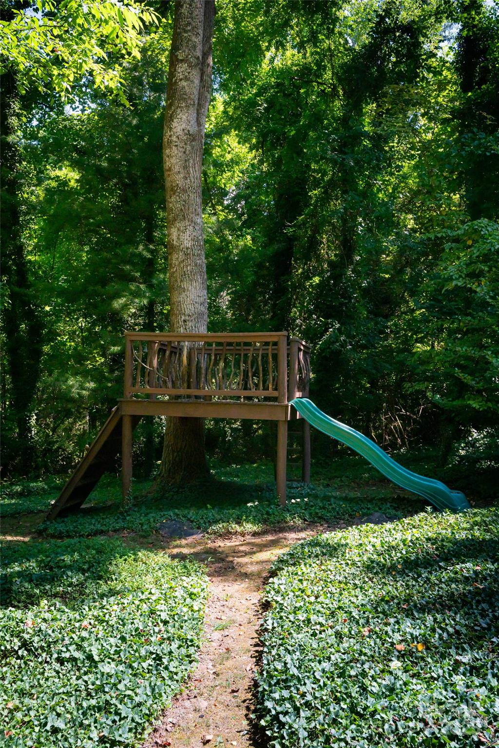 384 Vanderbilt Road Asheville, NC 28803 - Photo 7 of 44 Gallery Image 7