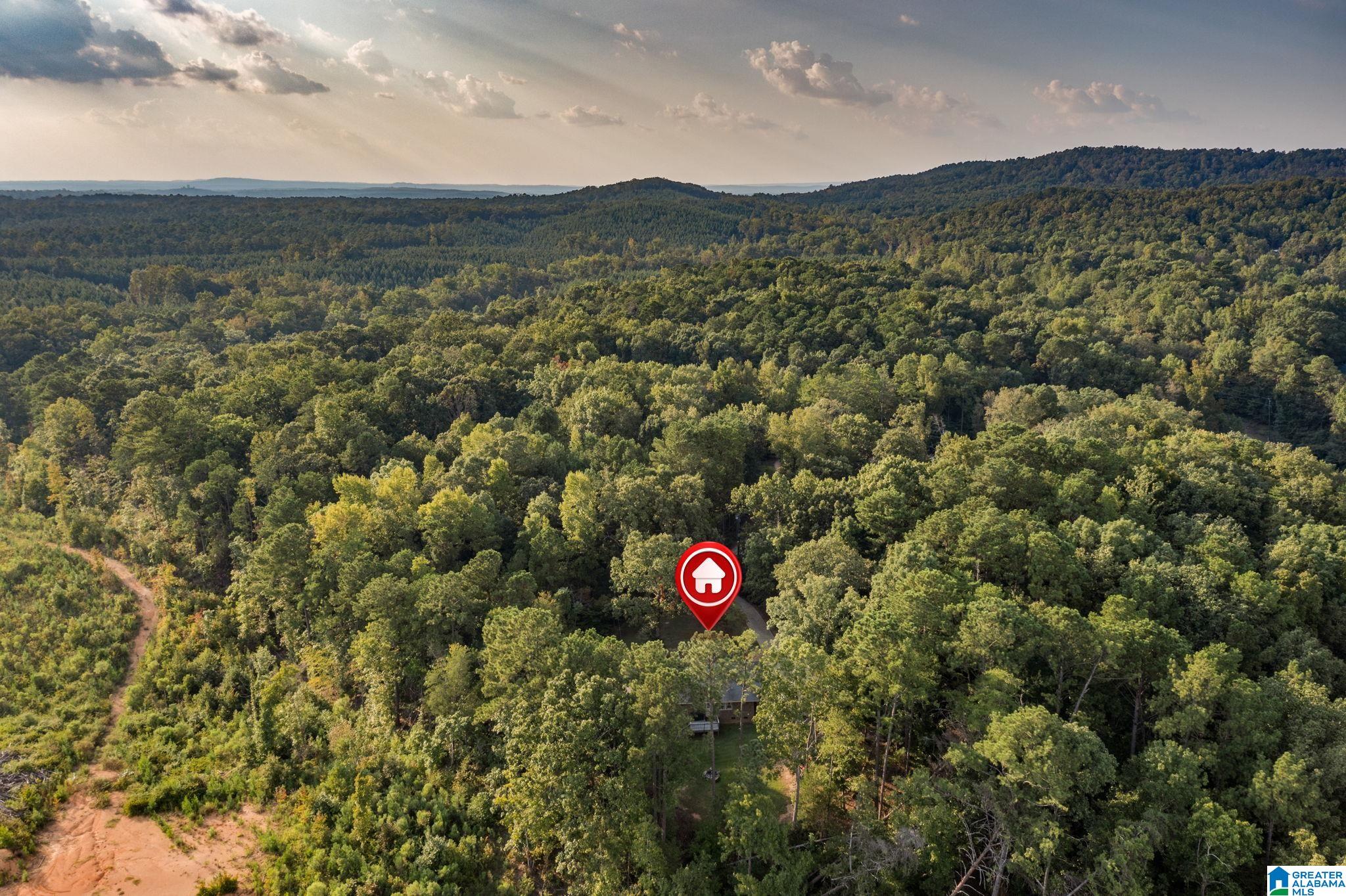 165 Walden Road Columbiana, AL 35051 - Photo 6 of 26