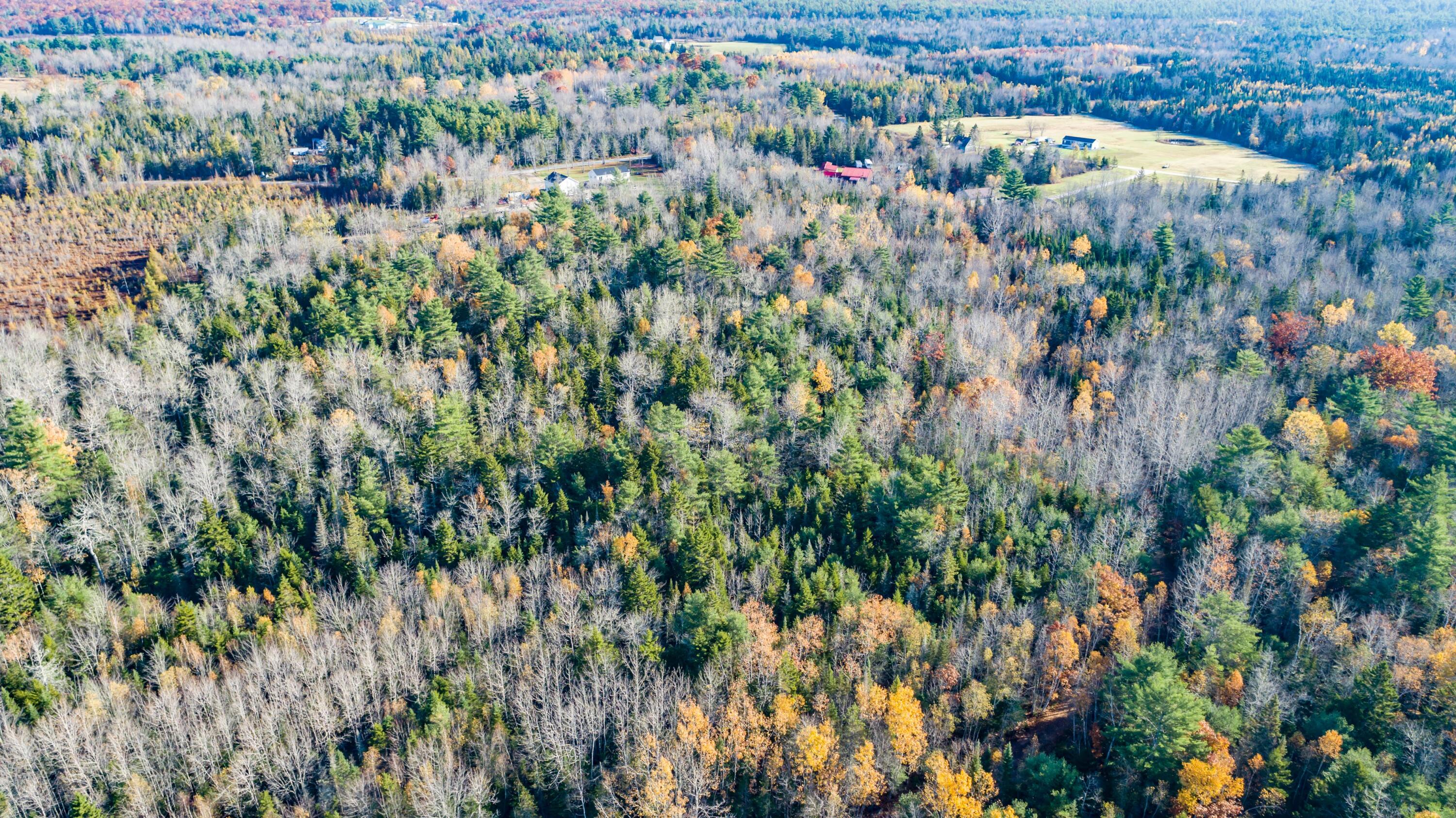 72 Alder Road Orland, ME 04472 - Photo 8 of 14 Gilpin Road Land Aerials-6 (1)
