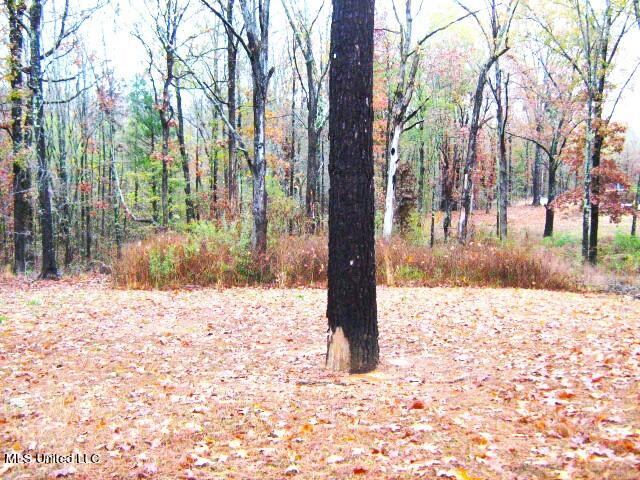 73 Hayward Road Byhalia, MS 38611 - Photo 20 of 25 IMG_1098