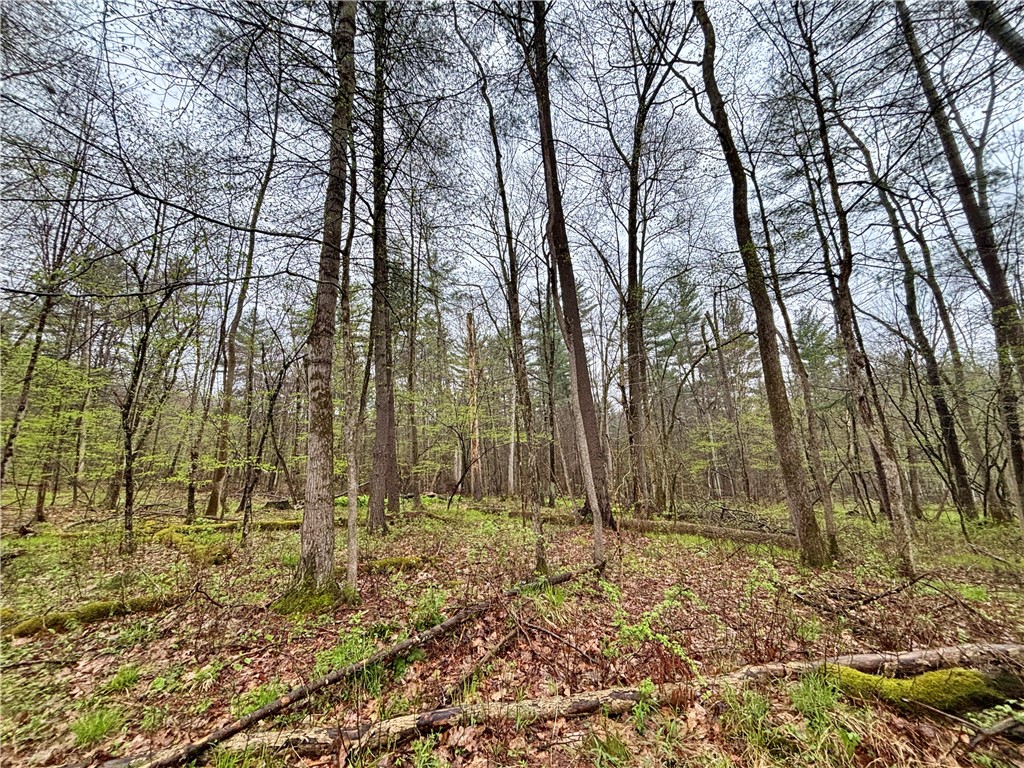 2093 Scott Road Erwin, NY 14858 - Photo 35 of 36 Gallery Image 35