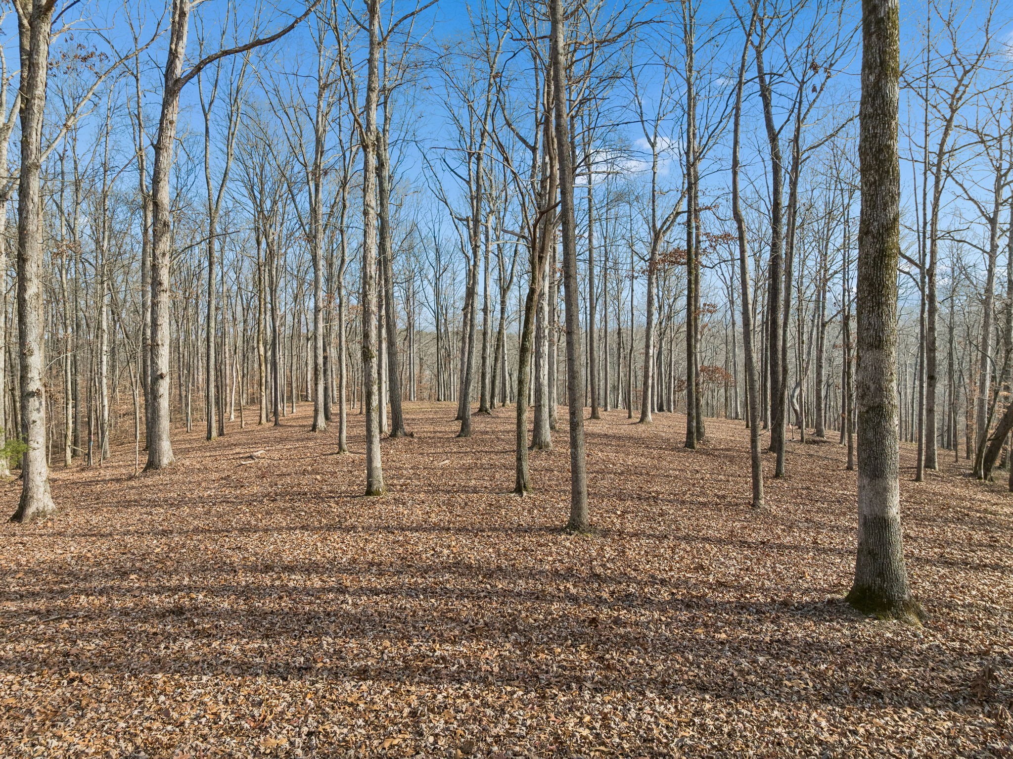 2 Peach Hollow Road Franklin, TN 37064 - Photo 9 of 19 Gallery Image 9