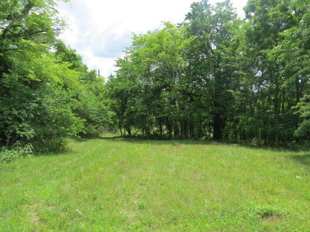 200 Hardy Road Pulaski, TN 38478 - Photo 4 of 20