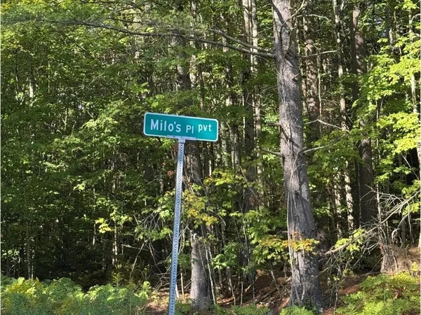 $99,000 | Lot 5 Milo's Place, Unit LOT 5, Worcester, VT 05682