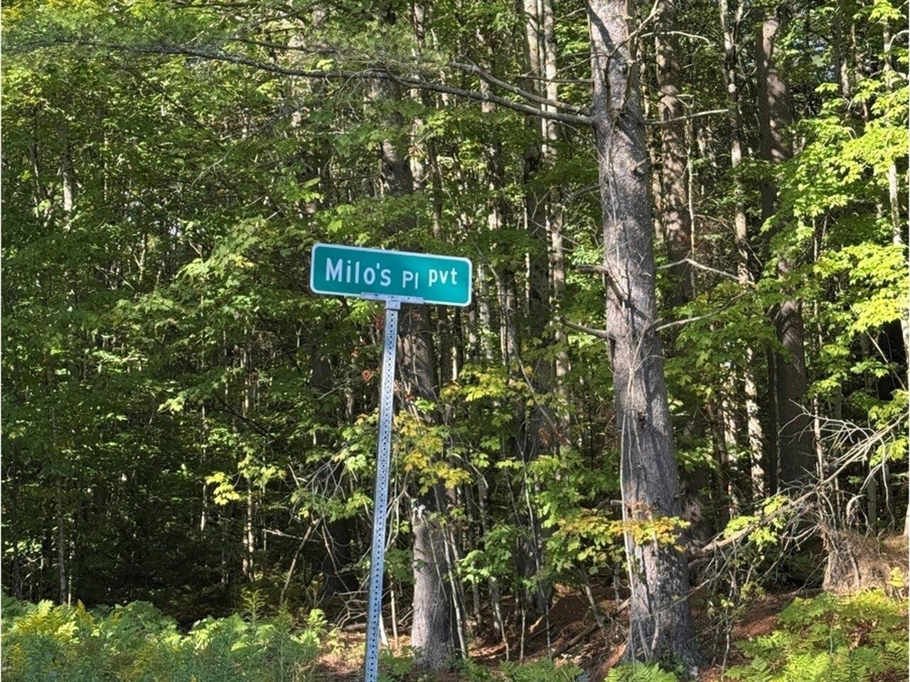 Lot 5 Milo's Place, Unit LOT 5 Worcester, VT 05682 - Photo 1 of 11