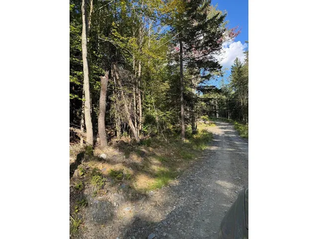 $99,000 | Lot 5 Milo's Place, Unit LOT 5, Worcester, VT 05682