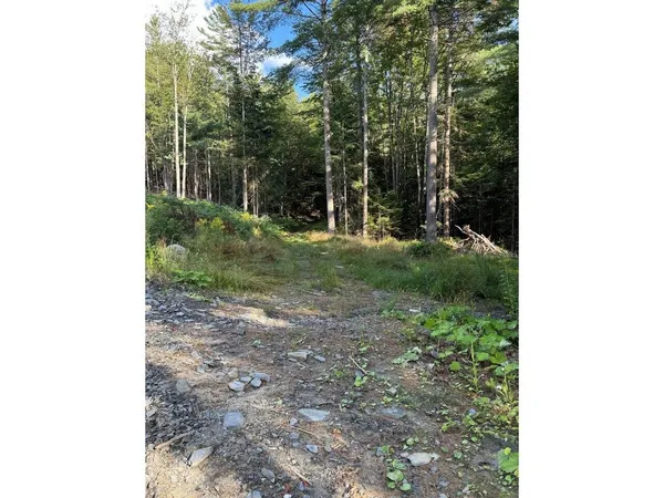 $99,000 | Lot 5 Milo's Place, Unit LOT 5, Worcester, VT 05682