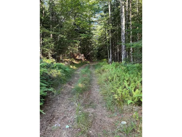 $99,000 | Lot 5 Milo's Place, Unit LOT 5, Worcester, VT 05682