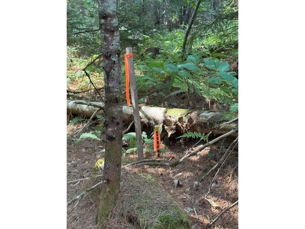 $99,000 | Lot 5 Milo's Place, Unit LOT 5, Worcester, VT 05682