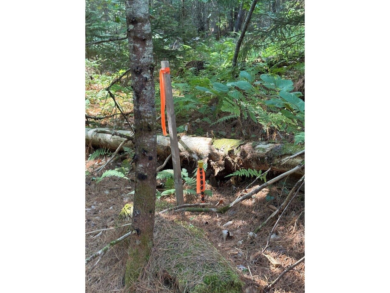 Lot 5 Milo's Place, Unit LOT 5 Worcester, VT 05682 - Photo 6 of 11