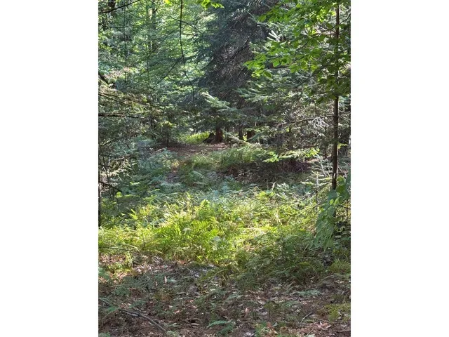 $99,000 | Lot 5 Milo's Place, Unit LOT 5, Worcester, VT 05682