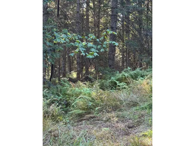 $99,000 | Lot 5 Milo's Place, Unit LOT 5, Worcester, VT 05682