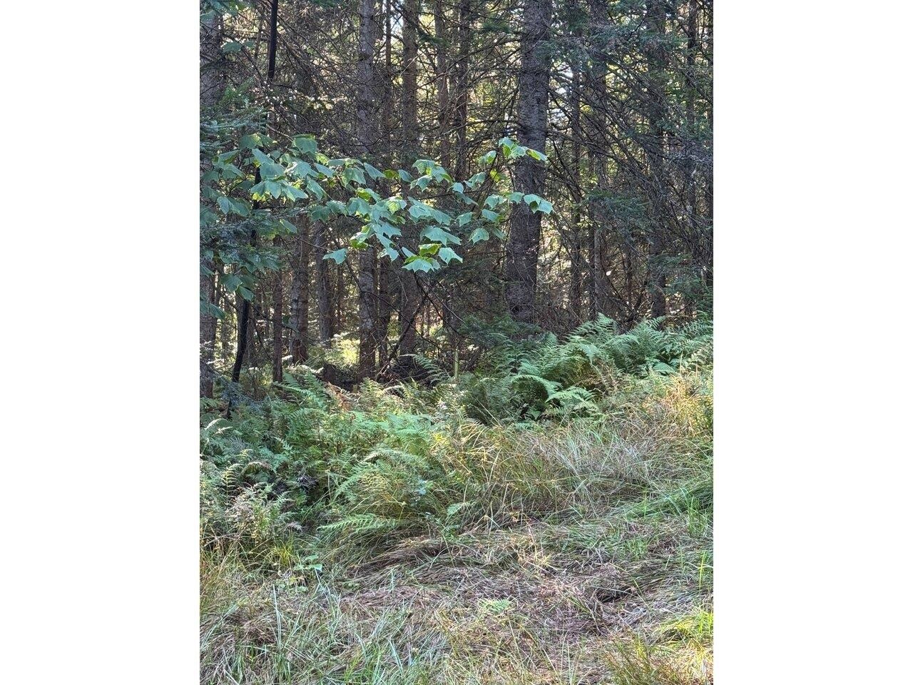 Lot 5 Milo's Place, Unit LOT 5 Worcester, VT 05682 - Photo 8 of 11