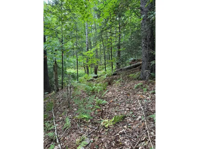 $99,000 | Lot 5 Milo's Place, Unit LOT 5, Worcester, VT 05682