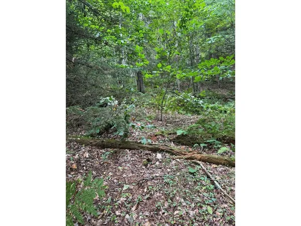 $99,000 | Lot 5 Milo's Place, Unit LOT 5, Worcester, VT 05682