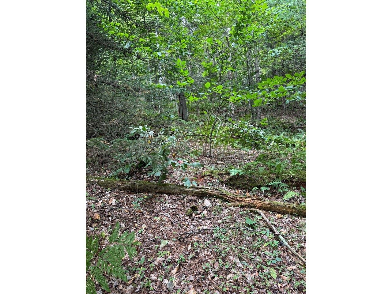 Lot 5 Milo's Place, Unit LOT 5 Worcester, VT 05682 - Photo 10 of 11