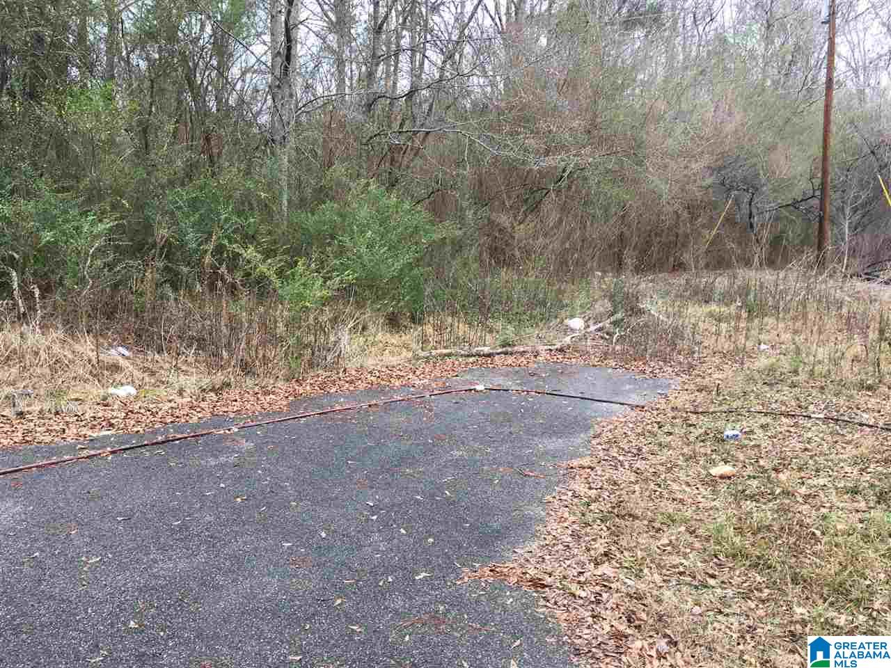 100 Shack Avenue Montevallo, AL 35115 - Photo 2 of 4
