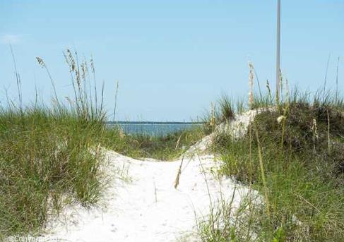 7 McCosh Mill Road Port St. Joe, FL 32456 - Photo 25 of 27