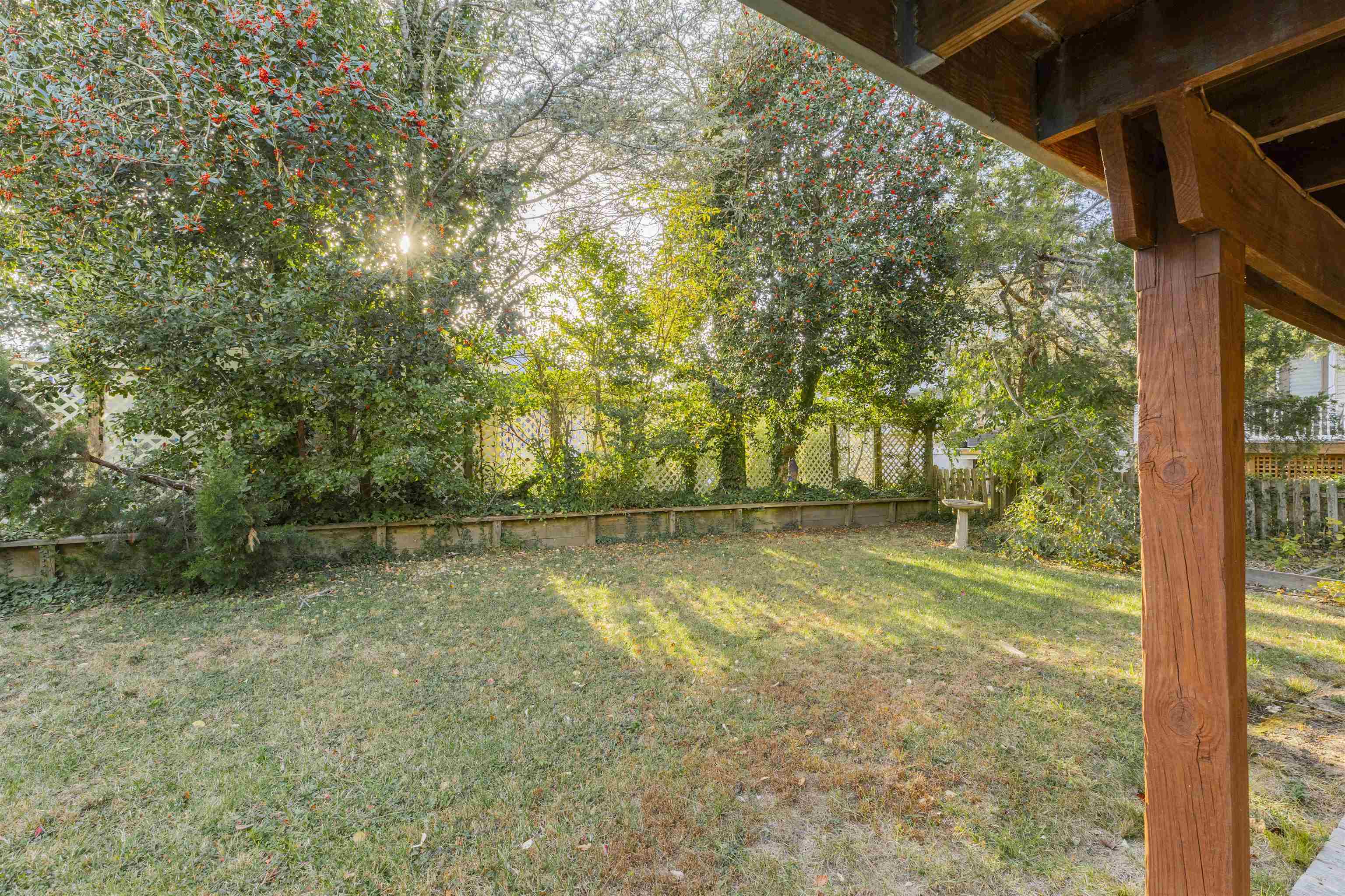 208 Princeton Avenue Cape May Point, NJ 08212 - Photo 6 of 49 a view of a yard with a trees