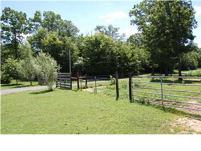 2085 Gizzard Creek Road Sequatchie, TN 37374 - Photo 15 of 36 Additional Photo