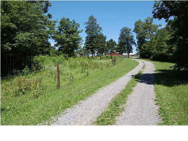 2085 Gizzard Creek Road Sequatchie, TN 37374 - Photo 33 of 36 Additional Photo
