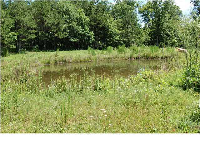 2085 Gizzard Creek Road Sequatchie, TN 37374 - Photo 34 of 36 Additional Photo
