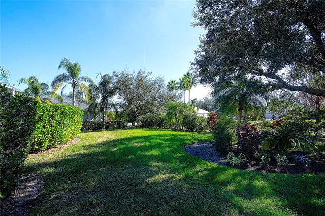 a view of a grassy field with trees