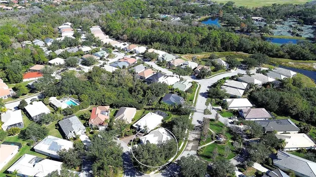 a view of a garden with plants
