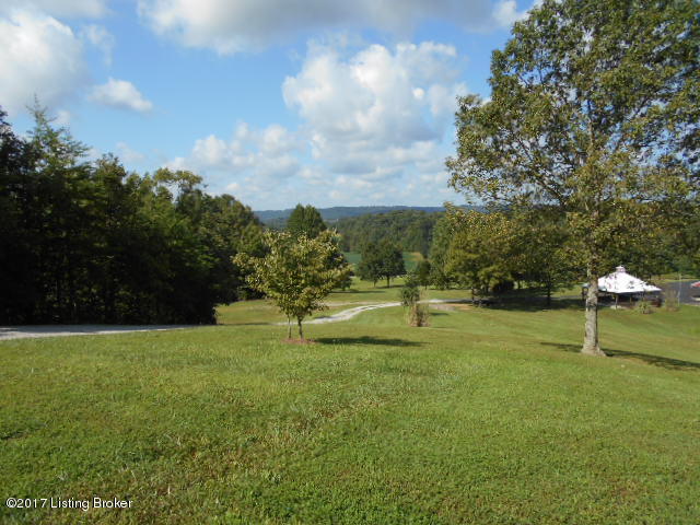 490 Icetown Road Boston, KY 40107 - Photo 11 of 29 yard view