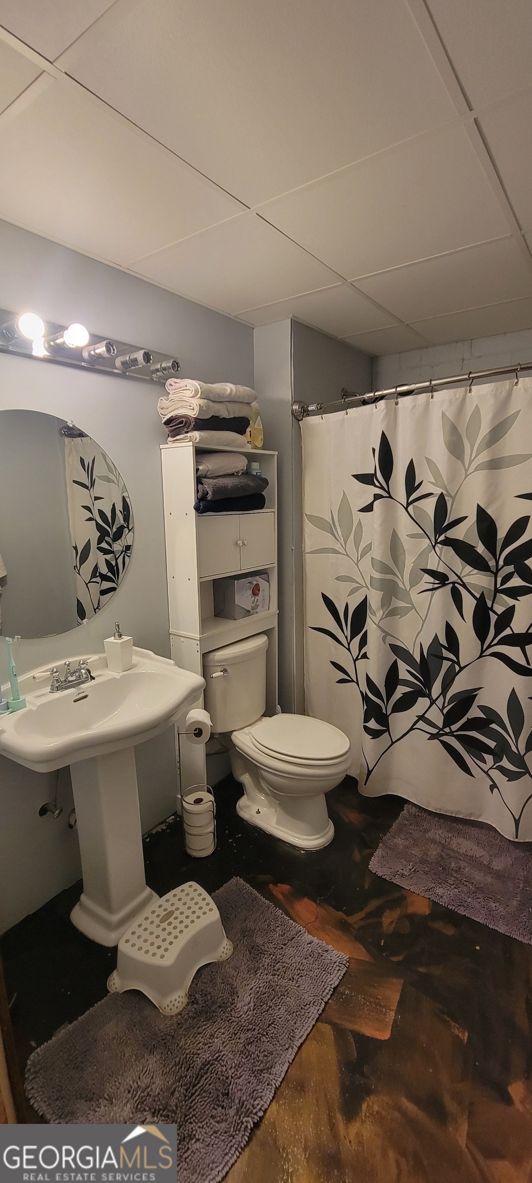 1605 Cody Road Mount Airy, GA 30563 - Photo 22 of 26 a view of bathroom with toilet sink and mirror