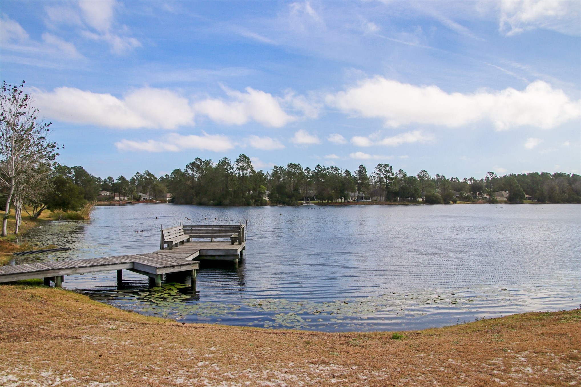 23525 Bahama Point, Unit 1621 Fernandina Beach, FL 32034 - Photo 59 of 68 a view of a lake with houses in the back