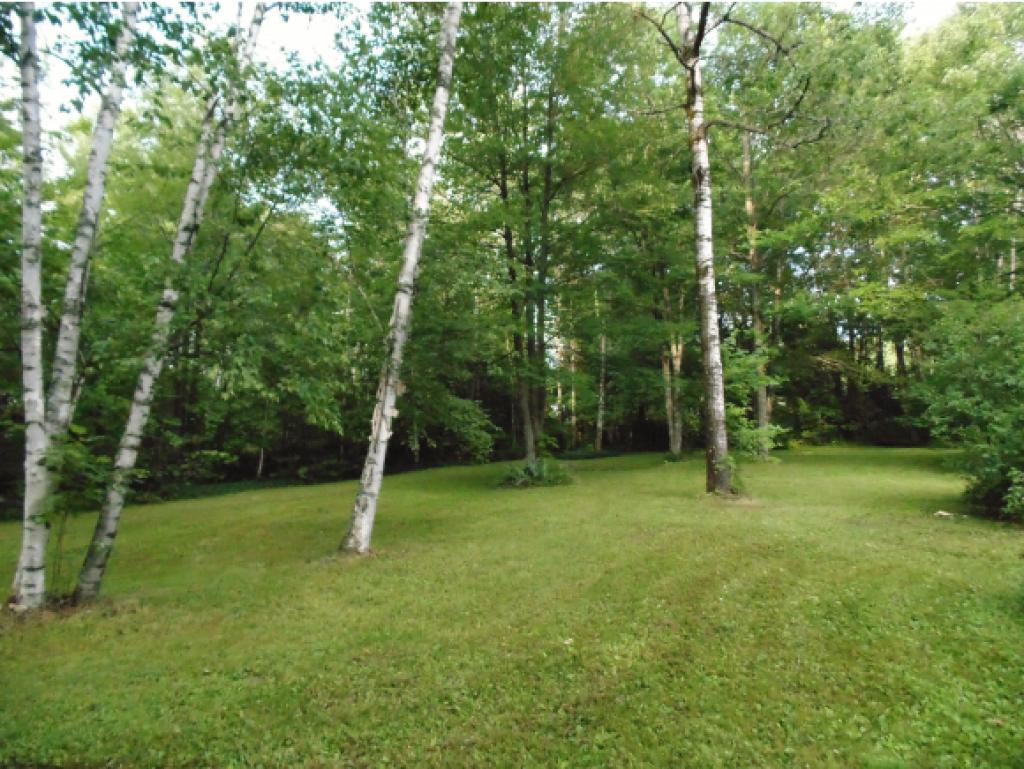 296 Windsor Road Hillsborough, NH 03244 - Photo 8 of 24