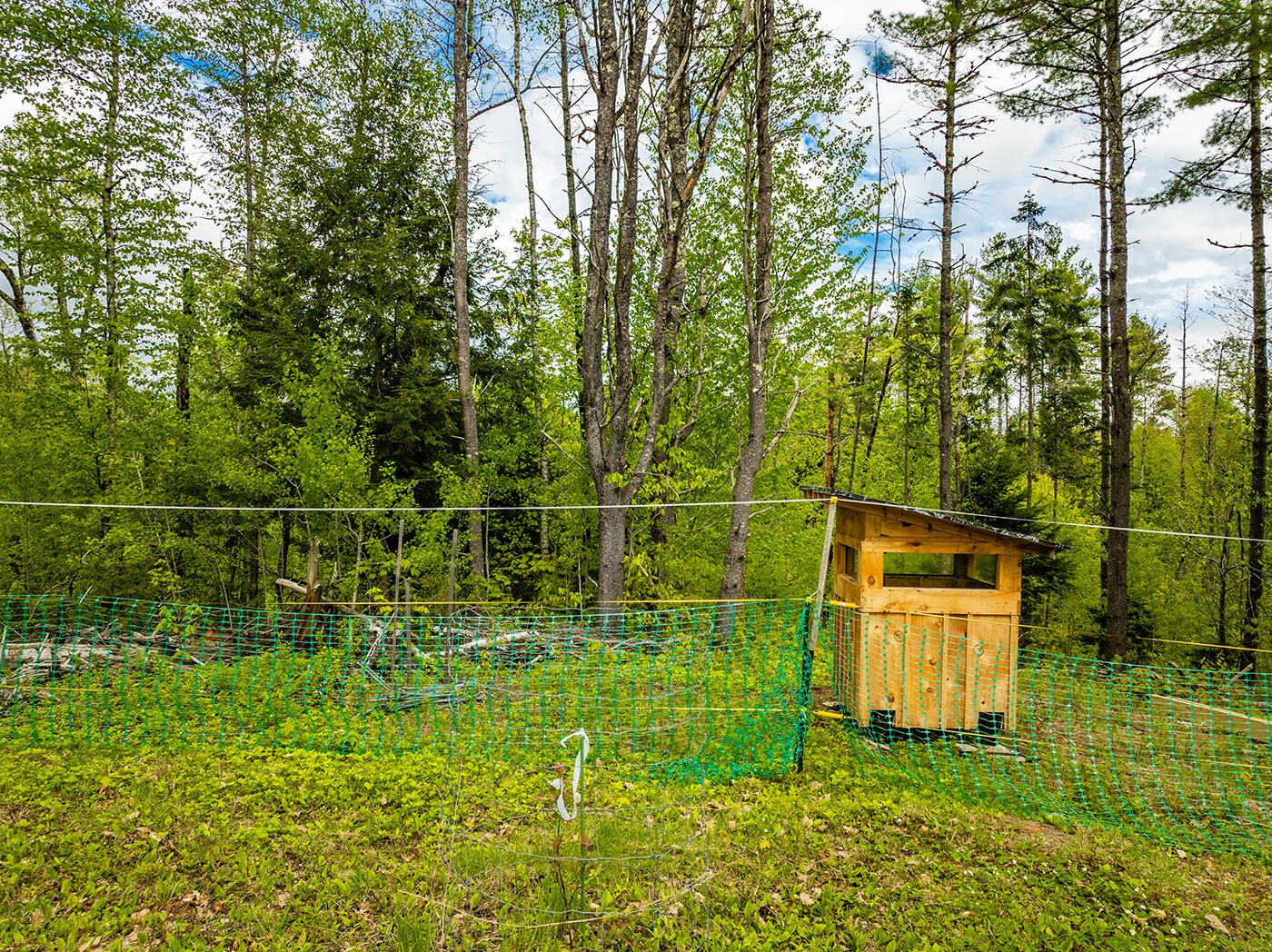 572 Old County Road Washington, ME 04574 - Photo 28 of 32 DJI_0248