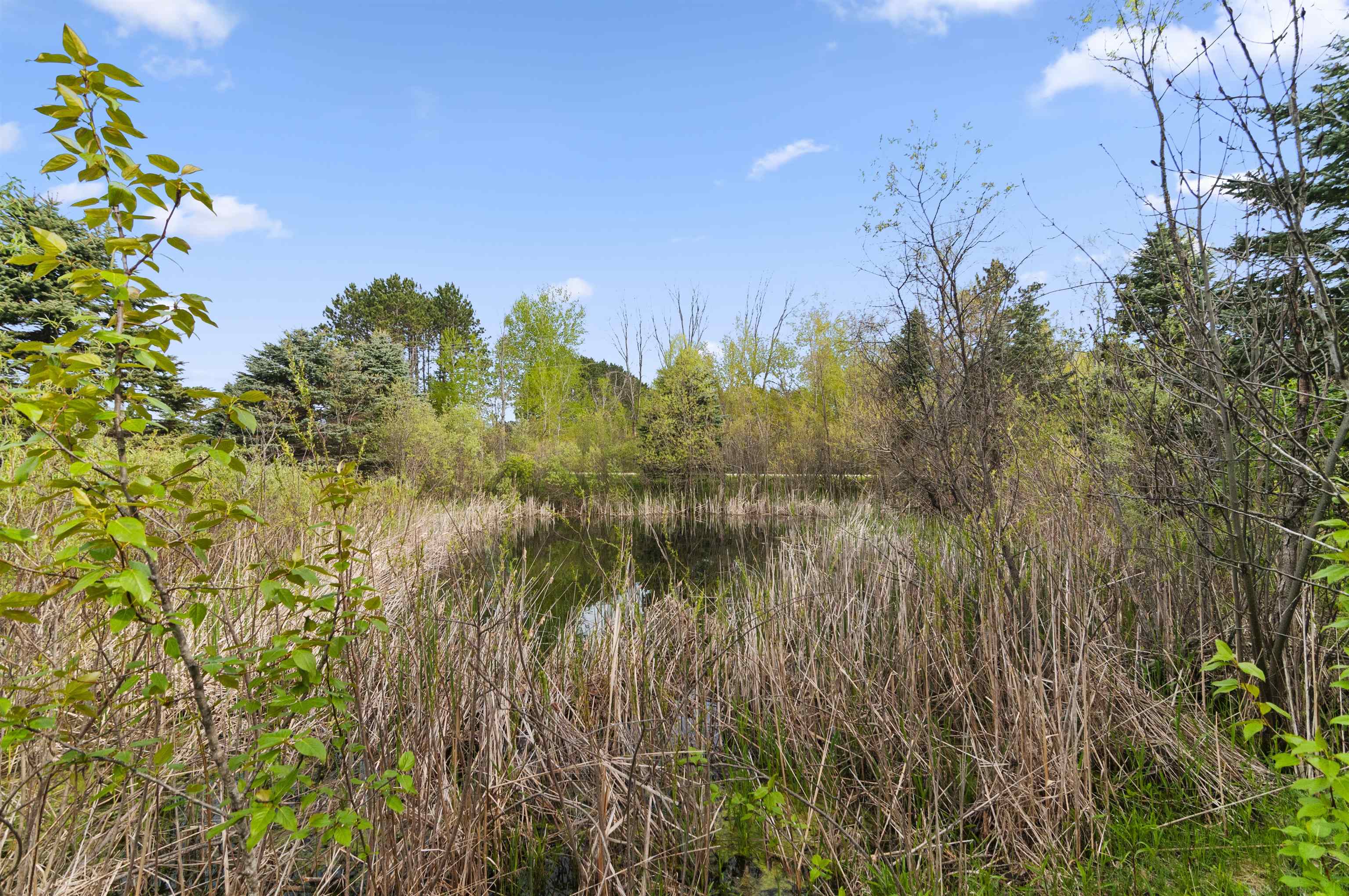 2153 17 Mile Road Marion, MI 49665 - Photo 12 of 25 Gallery Image 12