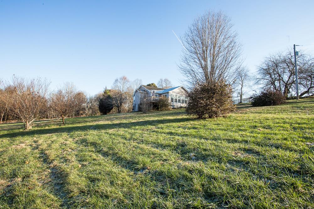 6990 Hoods Branch Road Springfield, TN 37172 - Photo 3 of 23 a view of a green field