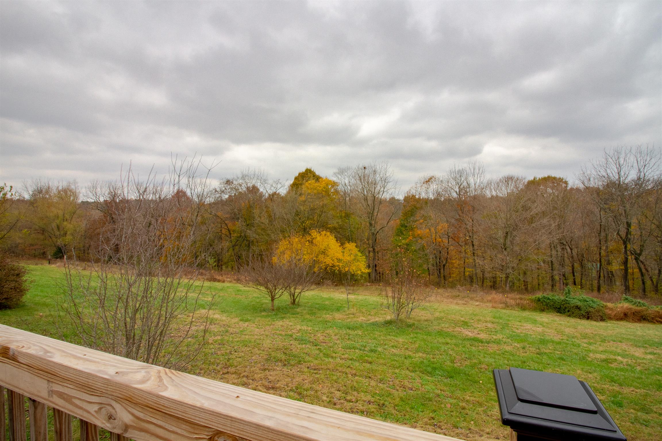 6990 Hoods Branch Road Springfield, TN 37172 - Photo 22 of 23 a view of a lake with a yard