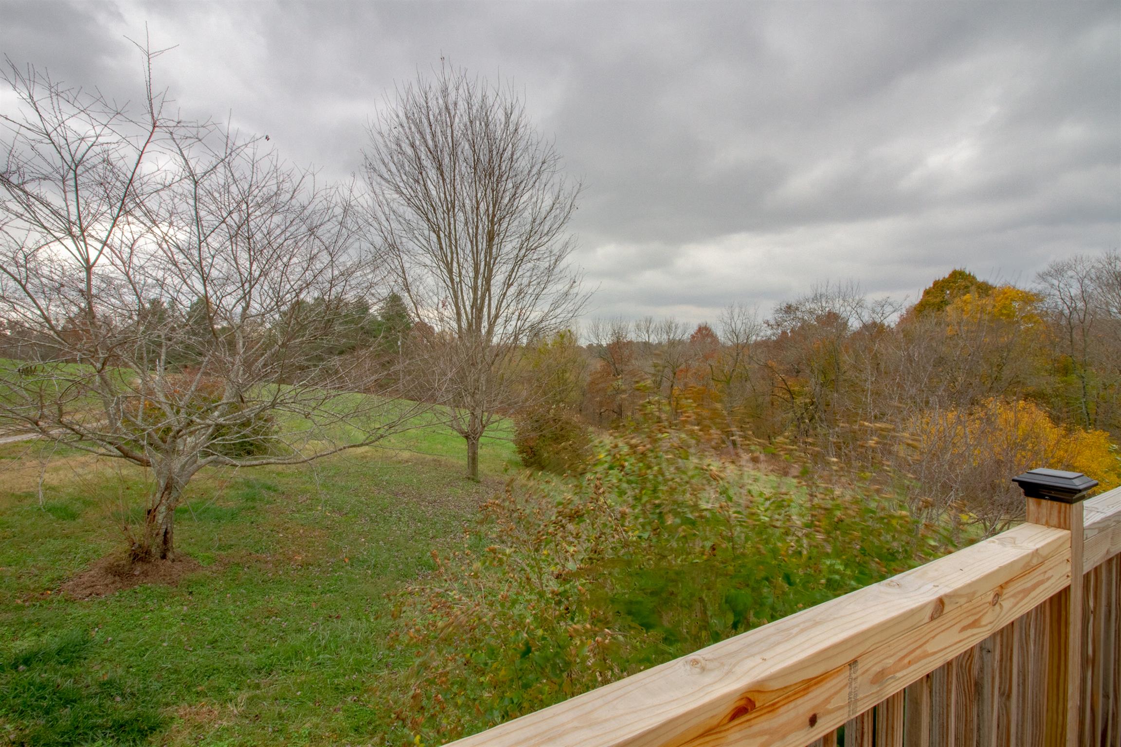 6990 Hoods Branch Road Springfield, TN 37172 - Photo 23 of 23 a view of a lake from a balcony