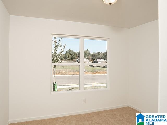 205 Polo Field Way Chelsea, AL 35043 - Photo 13 of 26