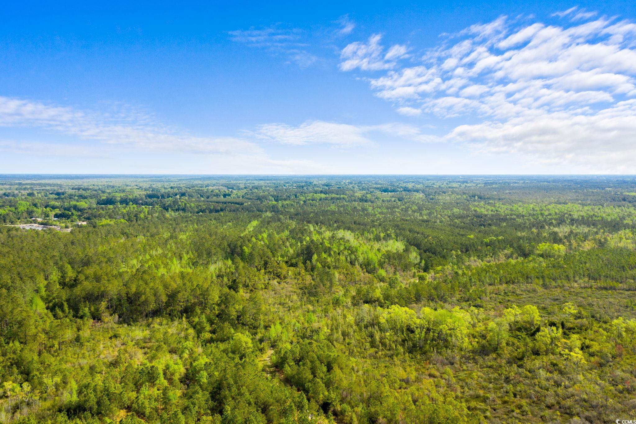 Tbd Water Tower Road Longs, SC 29568 - Photo 4 of 21