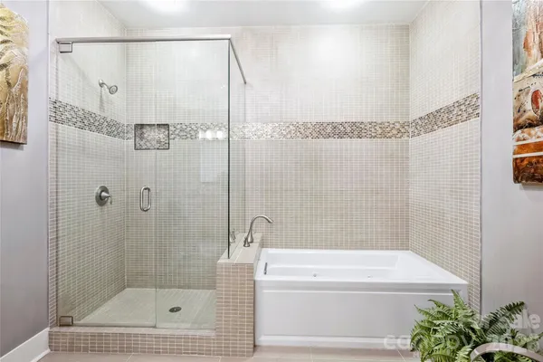 a bathroom with a shower and a bathtub