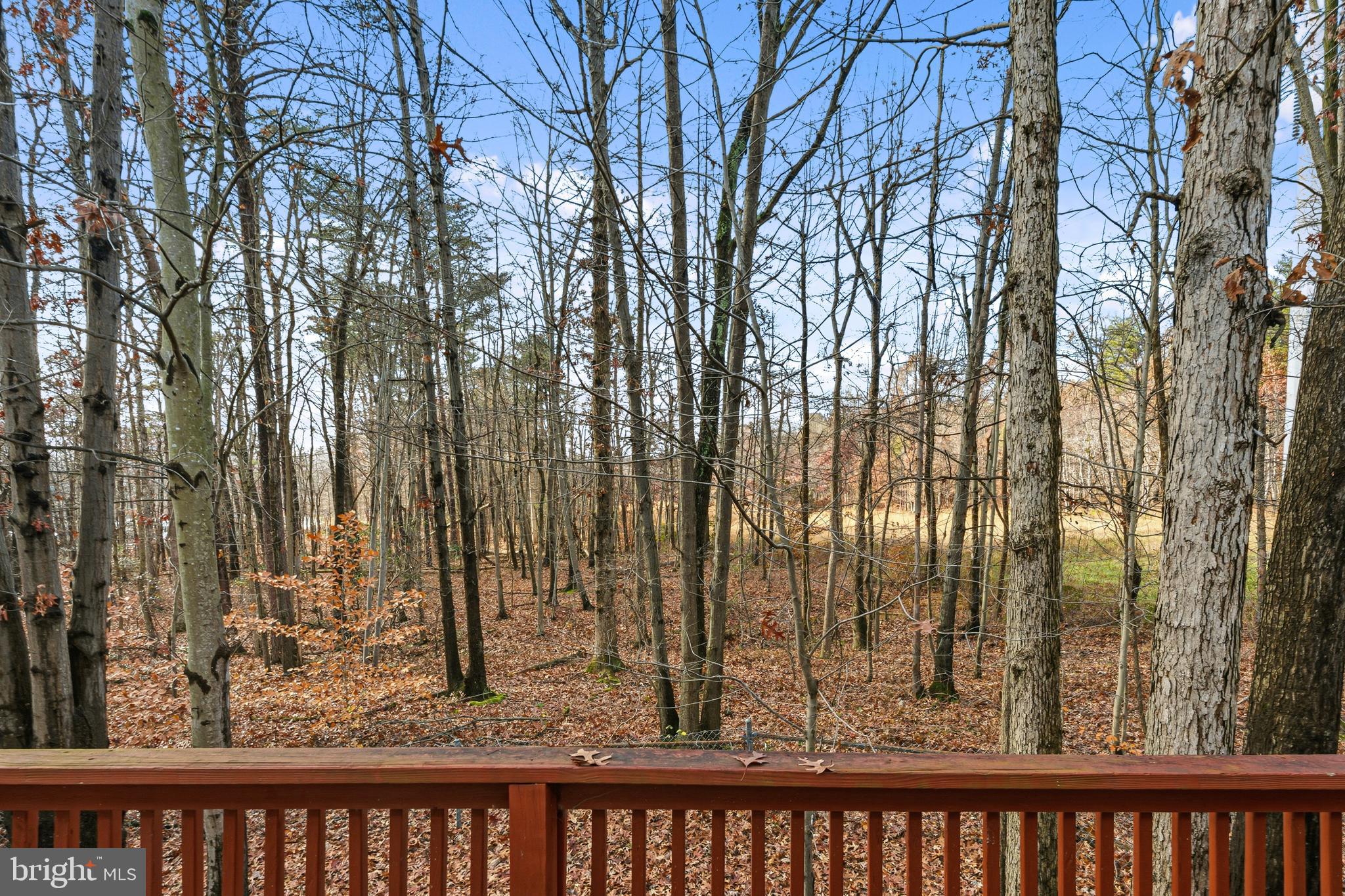 1834 Emily Drive Edgewood, MD 21040 - Photo 31 of 42 a view of a backyard and trees