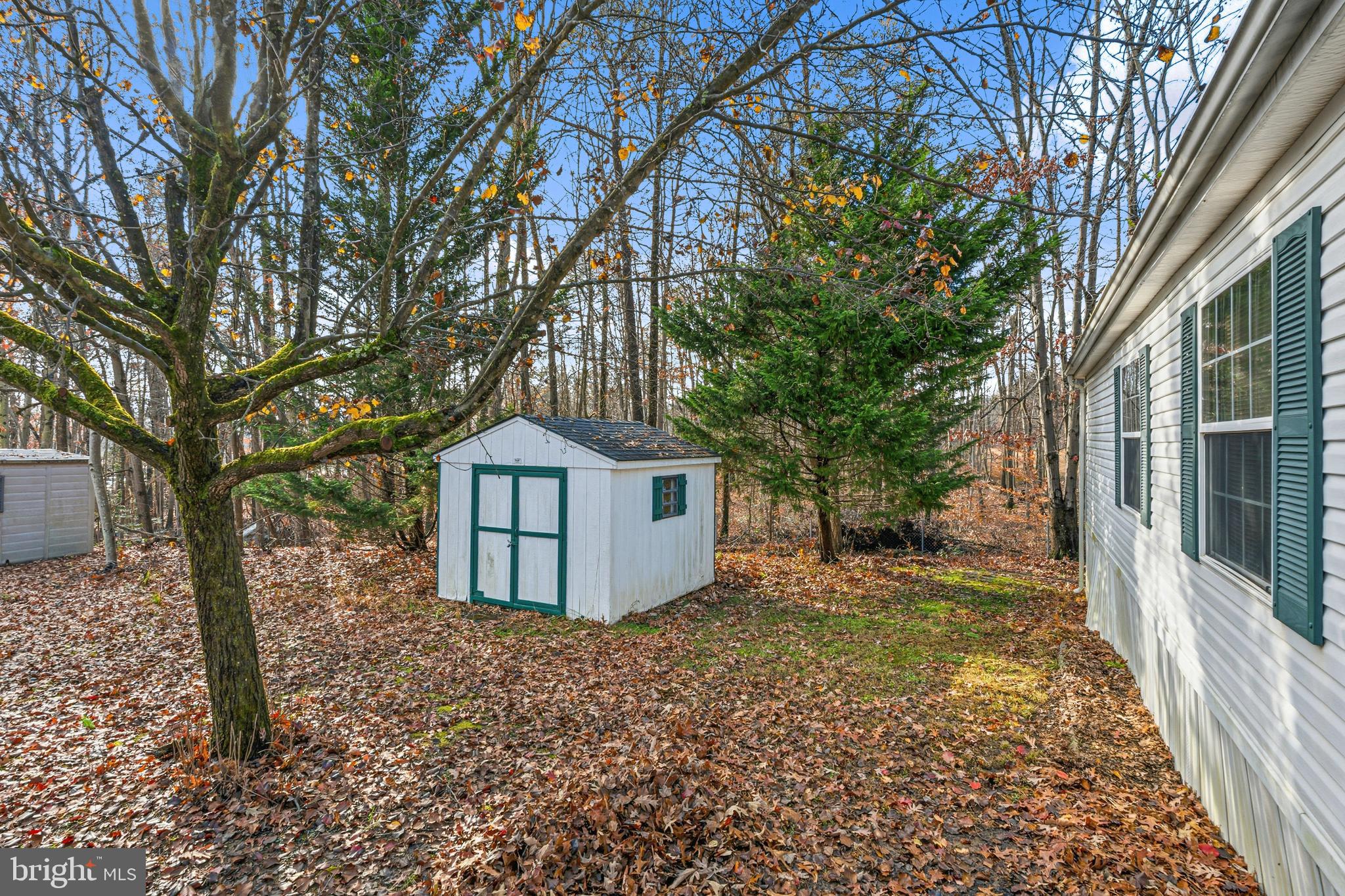1834 Emily Drive Edgewood, MD 21040 - Photo 35 of 42 front view of a house with a large tree and a yard