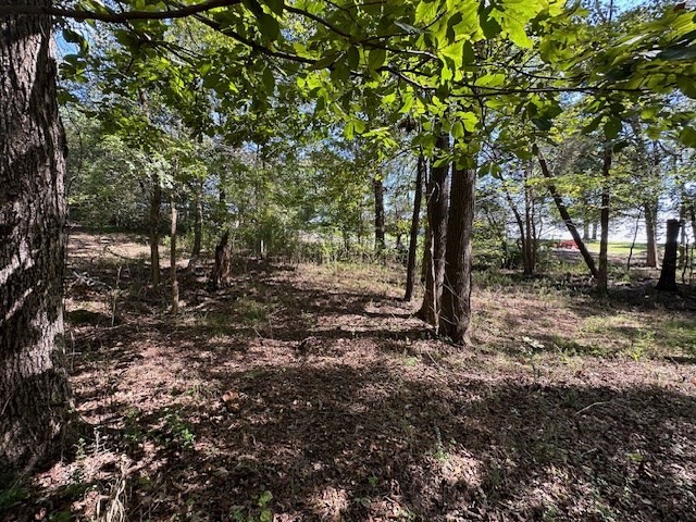 0 Sales Landing Road Camden, TN 38320 - Photo 11 of 24