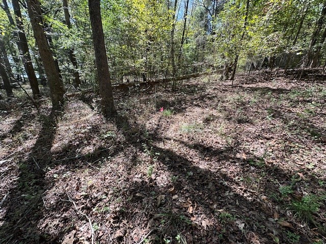 0 Sales Landing Road Camden, TN 38320 - Photo 12 of 24