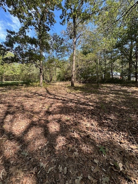 0 Sales Landing Road Camden, TN 38320 - Photo 14 of 24