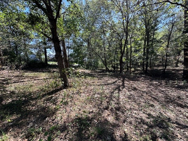 0 Sales Landing Road Camden, TN 38320 - Photo 16 of 24