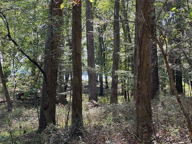 0 Sales Landing Road Camden, TN 38320 - Photo 17 of 24