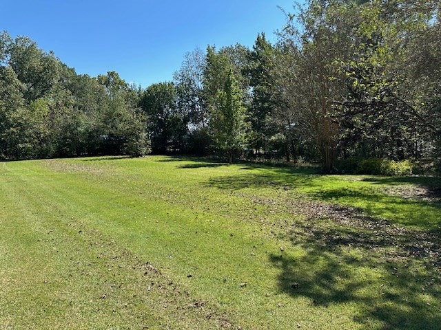 0 Sales Landing Road Camden, TN 38320 - Photo 3 of 24